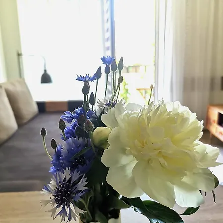 Jaukus Apartamentai Su Parkingu Malunu Vilose